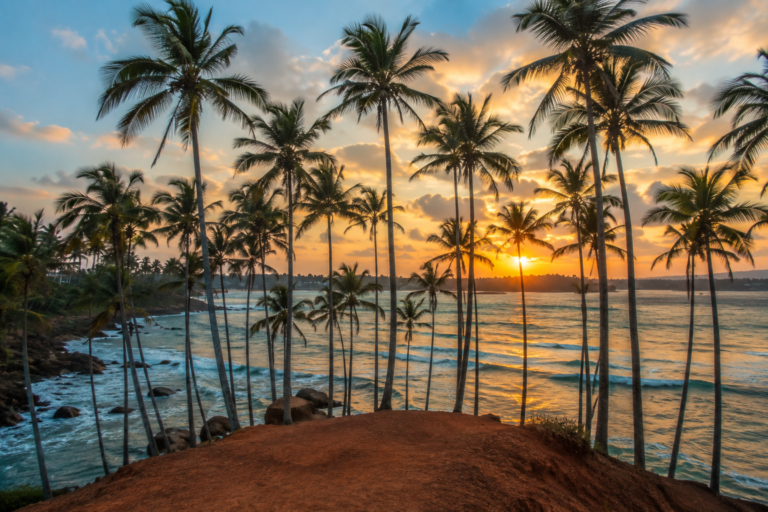 The Ultimate Guide to Coconut Tree Hill in Mirissa,Sri Lanka